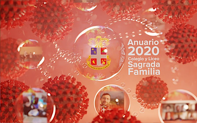 Detalle de la portada del Anuario 2020.